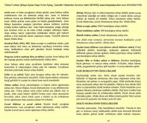 Tıbb-ul Furkan Şifaya Açılan Kapı | Ersin Aytaç - Görsel 5